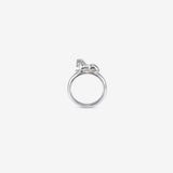 Horse Ring