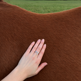 Sunday Polo Ring - 925 Silver